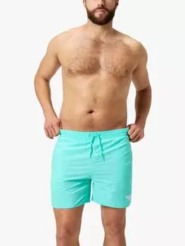 Классические плавательные шорты 16 дюймов Speedo, цвет Arctic Glass