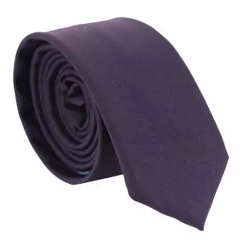Классический комплект из галстука и платка для нагрудного кармана TruClothing, фиолетовый