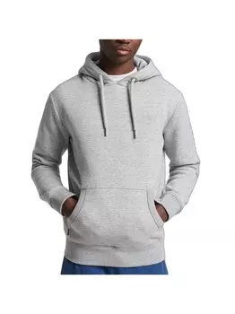 Классический свитшот с вышитым логотипом Superdry, серый