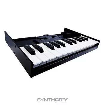 Клавиатурный блок Roland K-25m K-25m Keyboard Unit