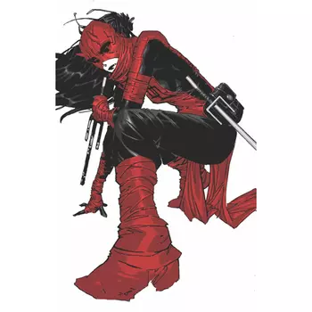 Книга Daredevil: Woman Without Fear