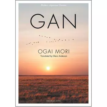 Книга Gan