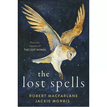 Книга The Lost Spells