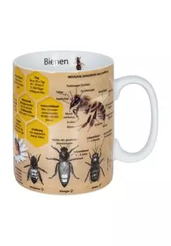 Кофейная кружка Кружка пчелиных знаний, информативная, фарфор KoNitz, mehrfarbig