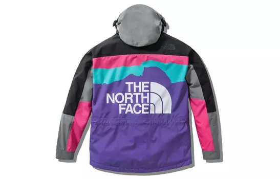 Коллекция 1994 года, мужская куртка для активного отдыха, серая The North Face, серый