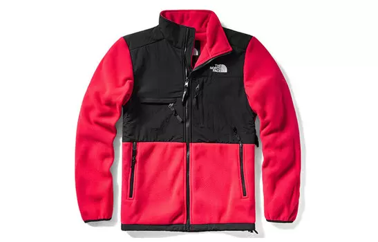 Коллекция 1995 года Куртка унисекс The North Face