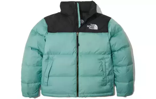 Коллекция 1996 года, пуховик мужской, мятный The North Face, цвет Mint