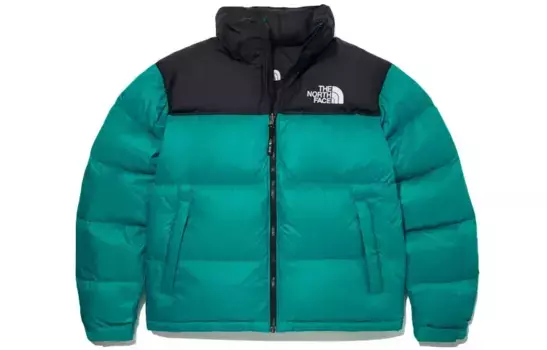 Коллекция 1996 года, пуховик мужской, зеленый The North Face, зеленый