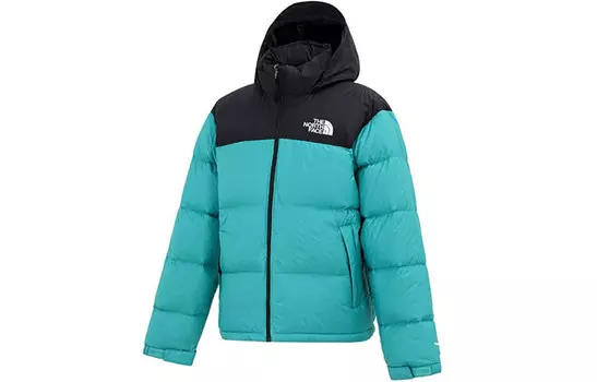 Коллекция 1996 года, пуховик мужской, зеленый The North Face, зеленый