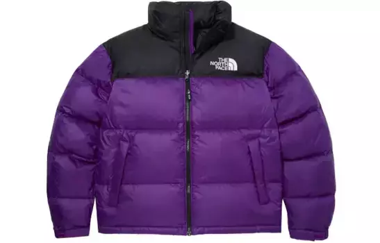 Коллекция 1996 года, пуховик унисекс, фиолетовый The North Face, фиолетовый