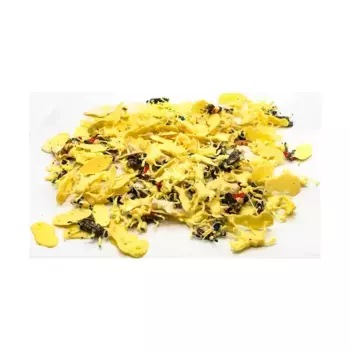 Коллекция наполеоновской кавалерии № 1, Historical Plastic Figures - Loose Miniatures (HO & OO Scale)