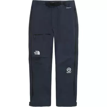 Коллекция одежды Брюки-карго Мужские Темно-синие The North Face, синий