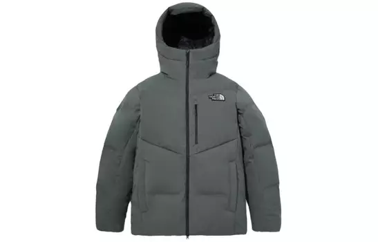 Коллекция одежды Куртка мужская серая The North Face, серый