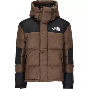 Коллекция одежды Куртка мужская темно-коричневый The North Face