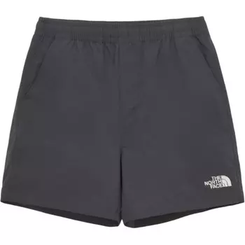 Коллекция одежды Повседневные шорты Мужские Темно-серые The North Face, темно-серый
