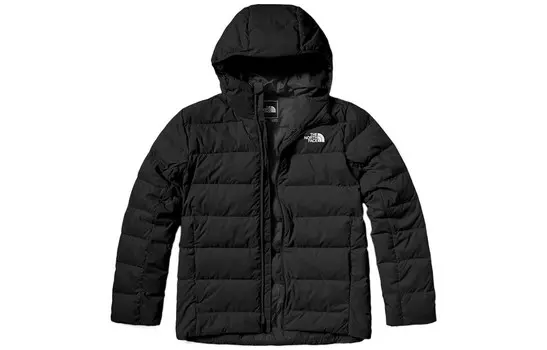 Коллекция одежды Пуховик мужской The North Face, серый