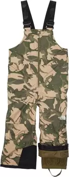 Комбинезон The North Face Kids Snowquest Insulated Bib, цвет New Taupe Green Explorer Camo Print
