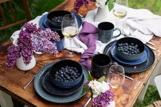 Комбинированный сервиз столовой посуды Mser, синий