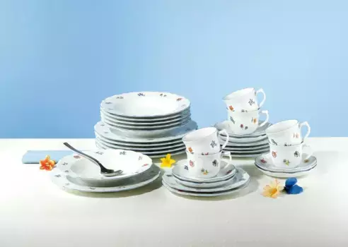 Комбинированный сервиз столовой посуды Seltmann Weiden, цвет Bunt