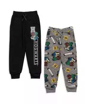 Комплект из 2 флисовых спортивных штанов «Гриффиндор Слизерин Хаффлпафф» «Равенкло» для малышей и больших детей Harry Potter, мультиколор