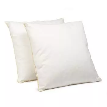 Комплект из 2-х перьевых подушек 40х40 см | 300 г наполнитель для подушек 100% перья | Подушка с сертификатом OekoTex | Чехол 100% хлопок Home-&-Fashion