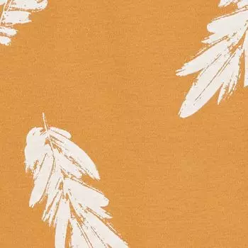 Комплект из 2 комбинезонов и носков Baby Carter's с перьями Carter's