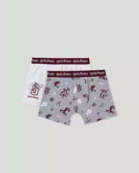 Комплект из двух боксеров для мальчика Cotton Juice, мультиколор