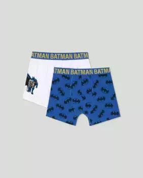 Комплект из двух боксеров для мальчика Cotton Juice, мультиколор