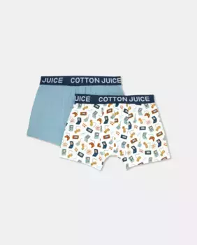 Комплект из двух боксеров для мальчика Cotton Juice, мультиколор