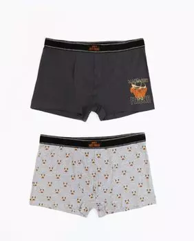 Комплект из двух мужских трикотажных боксеров разных цветов Admas, мультиколор