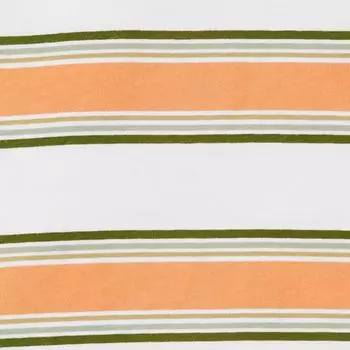 Комплект из футболки и шорт в полоску для мальчика Carter Carter's