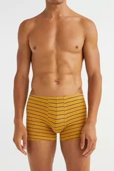 Комплект из трех хлопковых боксеров H&amp;M, горчично-желтая/полосатый