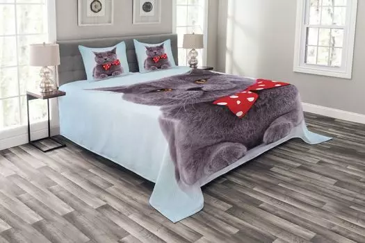 Комплект покрывала Cat ABAKUHAUS, серый шотландский вислоухий мотив, комплект с моющимися наволочками, для односпальных кроватей 264 x 220 см, голубой, фиолетовый, синий