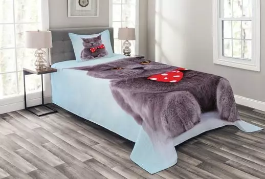 Комплект покрывала Cat ABAKUHAUS, серый в стиле шотландской вислоухой, комплект с моющимися наволочками, для односпальных кроватей 170 x 220 см, голубой, фиолетовый, синий