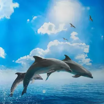 Комплект Покрывала "Флиппер" 180X280 Bassetti, небесно-голубой