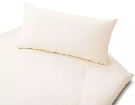 Комплект постельного белья Cotonea благородное льняное однотонное натуральное 001 размер 155х220+80х80 см