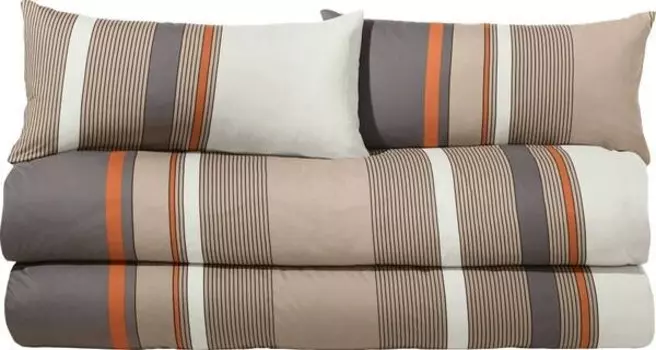 Комплект постельного белья Erwin Mller Sparpaket 4 шт. 165930, 155x1x220 см цвет beige-grau