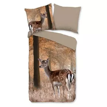 Комплект постельного белья Good morning Gavin, 200x200x1 см, коричневый