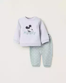 Комплект спортивной одежды для мальчика с начесом, принт Минни Zippy, светло-серый