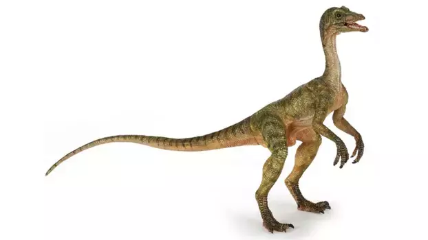 Компсогнат