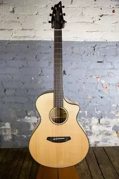 Концерт Breedlove в Орегоне, CE Oregon Concert CE