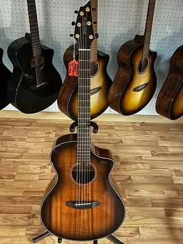 Концерт Breedlove в Орегоне, CE Oregon Concert CE