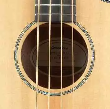 Концертный бас Breedlove Pursuit CE Sitka-Mahogany Pusuit Concert Bass CE