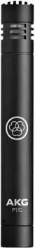 Конденсаторный микрофон AKG P170 Small Diaphragm Cardioid Condenser Microphone