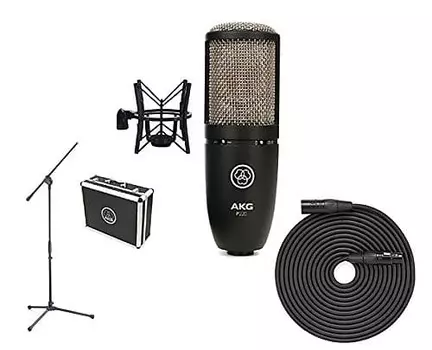 Конденсаторный микрофон AKG P220RECMIC