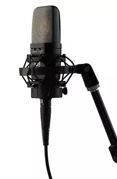Конденсаторный микрофон Warm Audio WA-14 Multipattern Brass Capsule Condenser Microphone