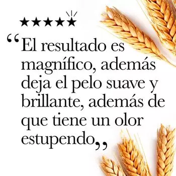 Кондиционер для волос Acondicionador Biotina y Colgeno Volumen Ogx, 385 ml