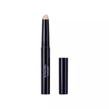Консилер Dr. Hauschka Concealer, 02 Chestnut / 2,5 ml