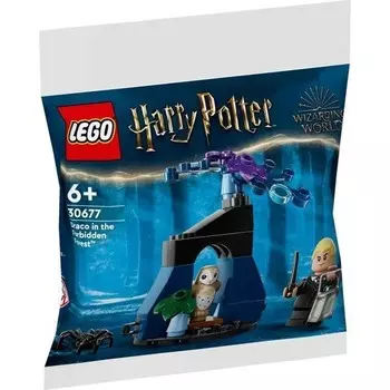 Конструктор пластиковый Lego Harry Potter Драко в запретном лесу