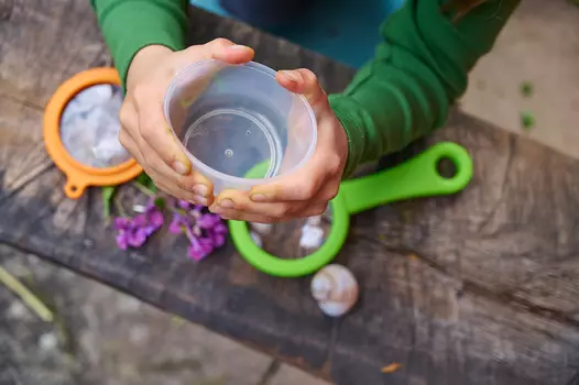 Контейнер с увеличительным стеклом Terra Kids 3-в-1 Haba